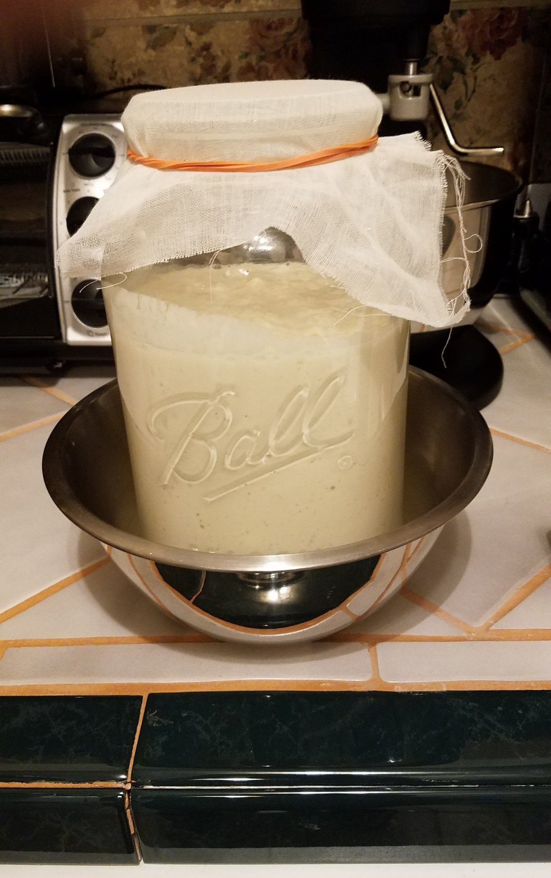 Sourdough starter — image 6